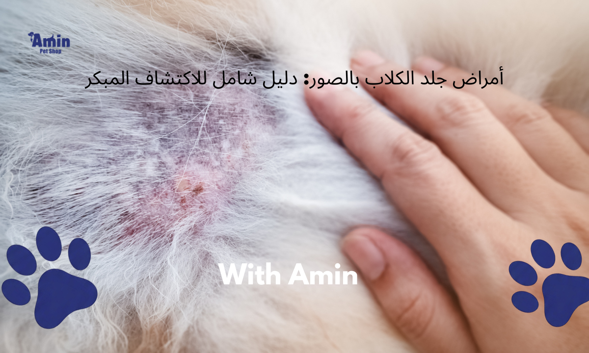 أمراض جلد الكلاب بالصور
