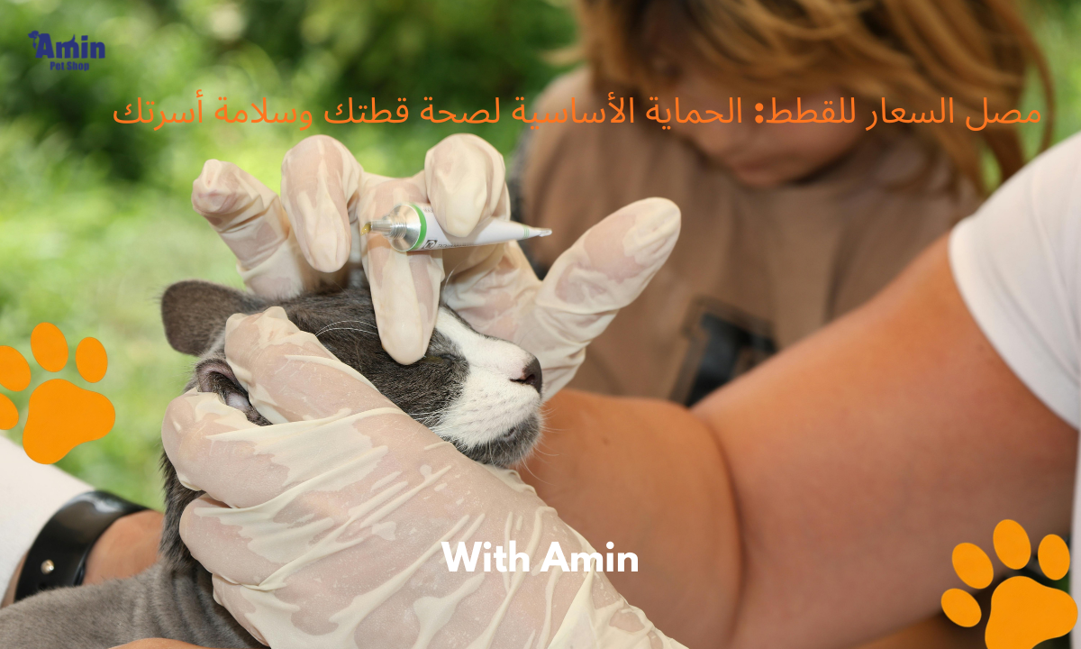 مصل السعار للقطط