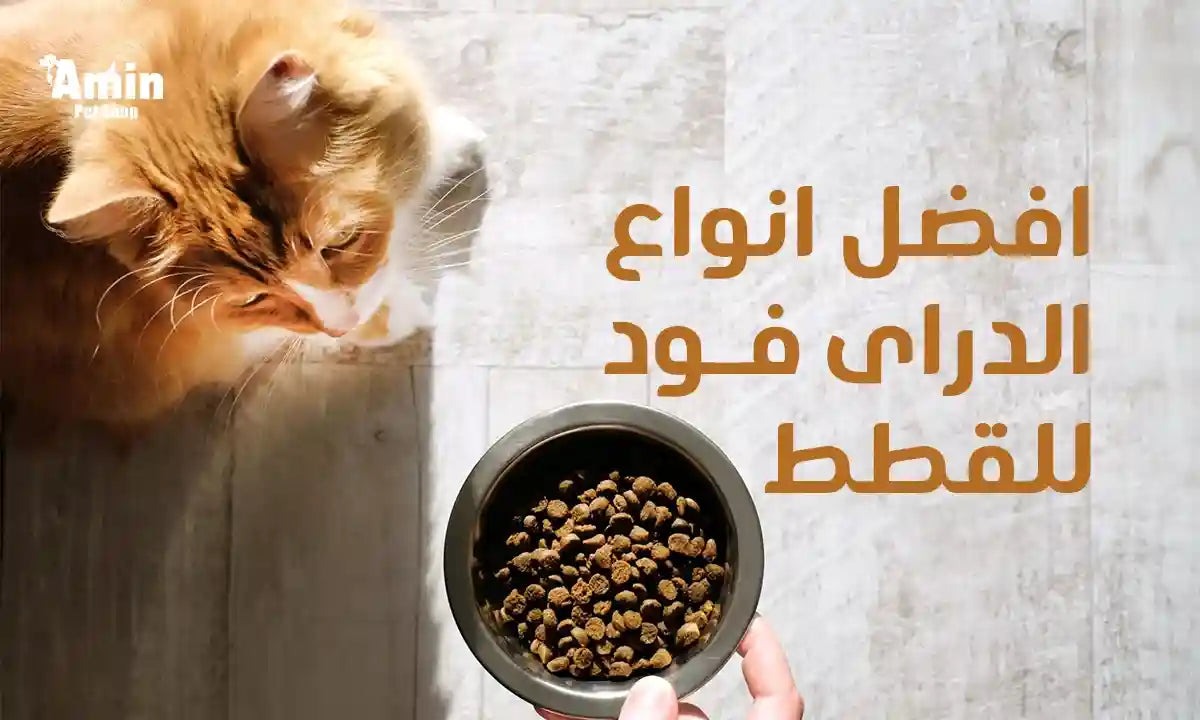 افضل انواع الدراى فود للقطط 2026 :  تغذية متكاملة لصحة مثالية