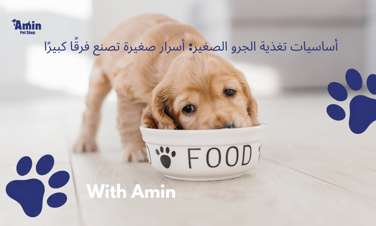 أساسيات تغذية الجرو الصغير: أسرار صغيرة تصنع فرقًا كبيرًا