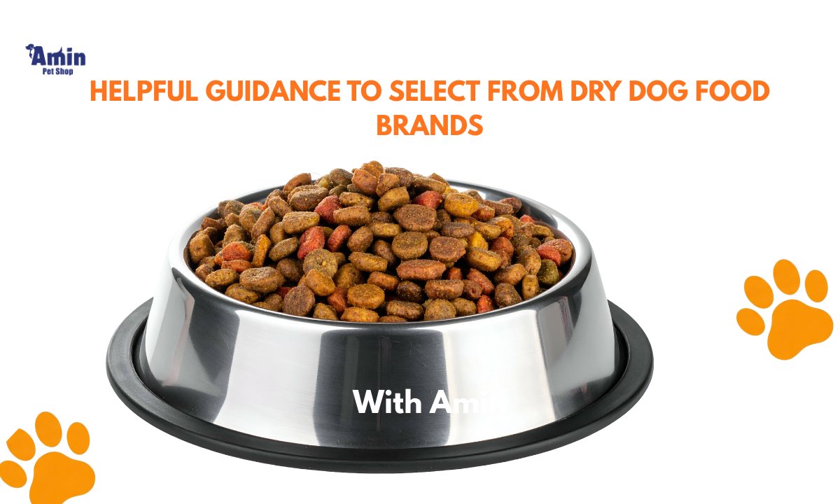 Helpful Guidance to Select from Dry Dog Food Brands