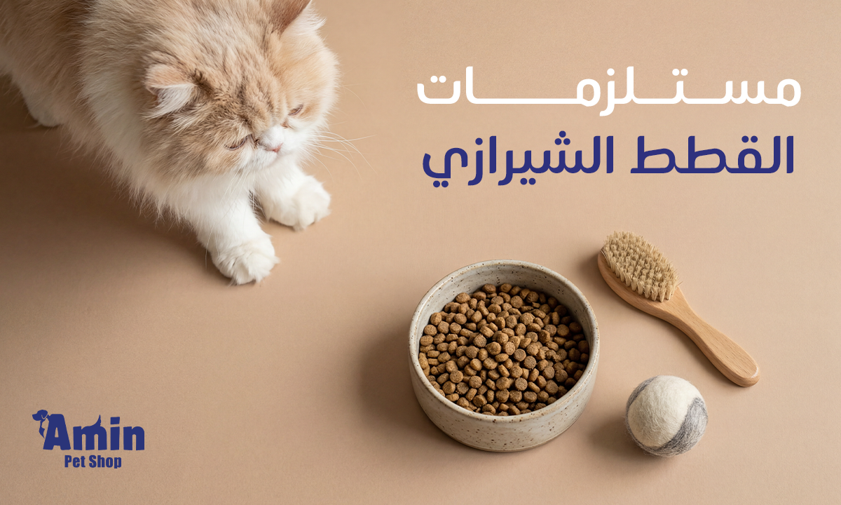 أهم مستلزمات القطط الشيرازي 