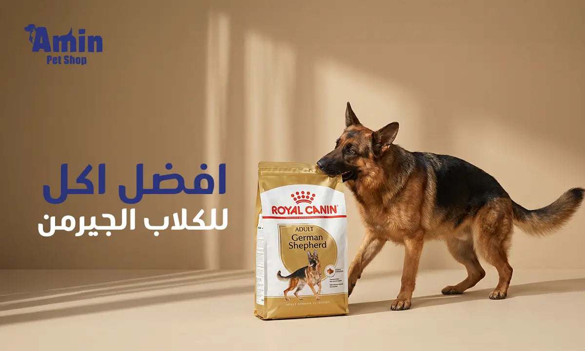  افضل اكل للكلاب الجيرمن