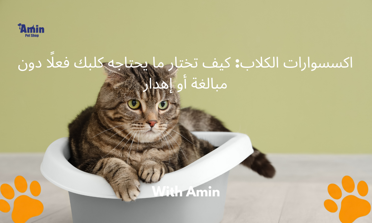 أفضل أنواع تراب القطط