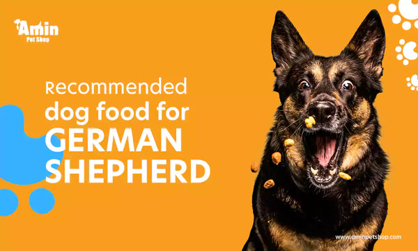 Best recommended dog food for german shepherd  2024