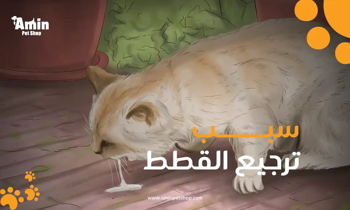 سبب ترجيع القطط