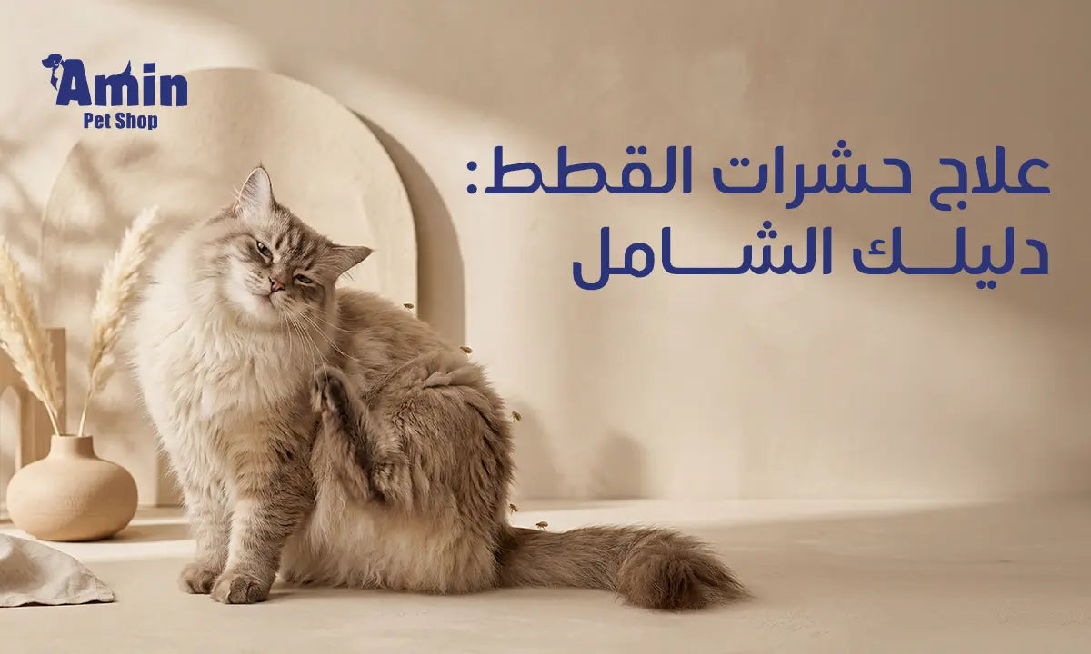علاج حشرات القطط