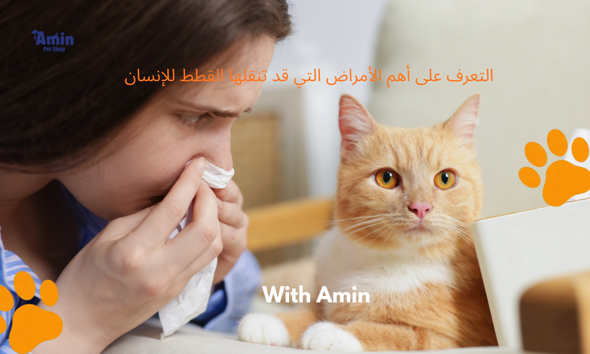 كيفية تجنب أضرار القطط