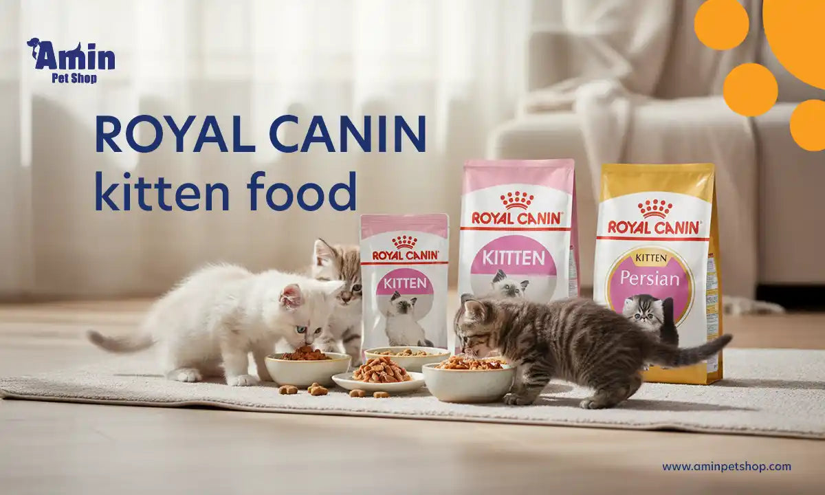 Royal Canin Kitten Food