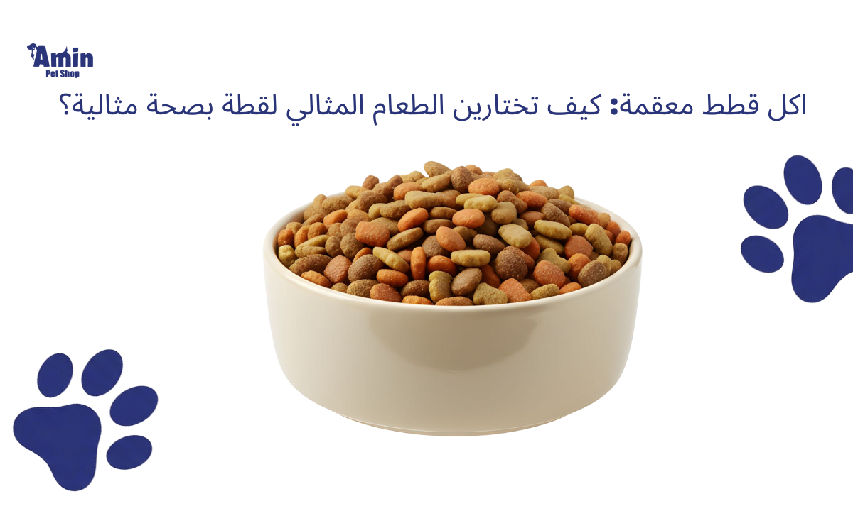 اكل قطط معقمة: كيف تختارين الطعام المثالي لقطة بصحة مثالية؟