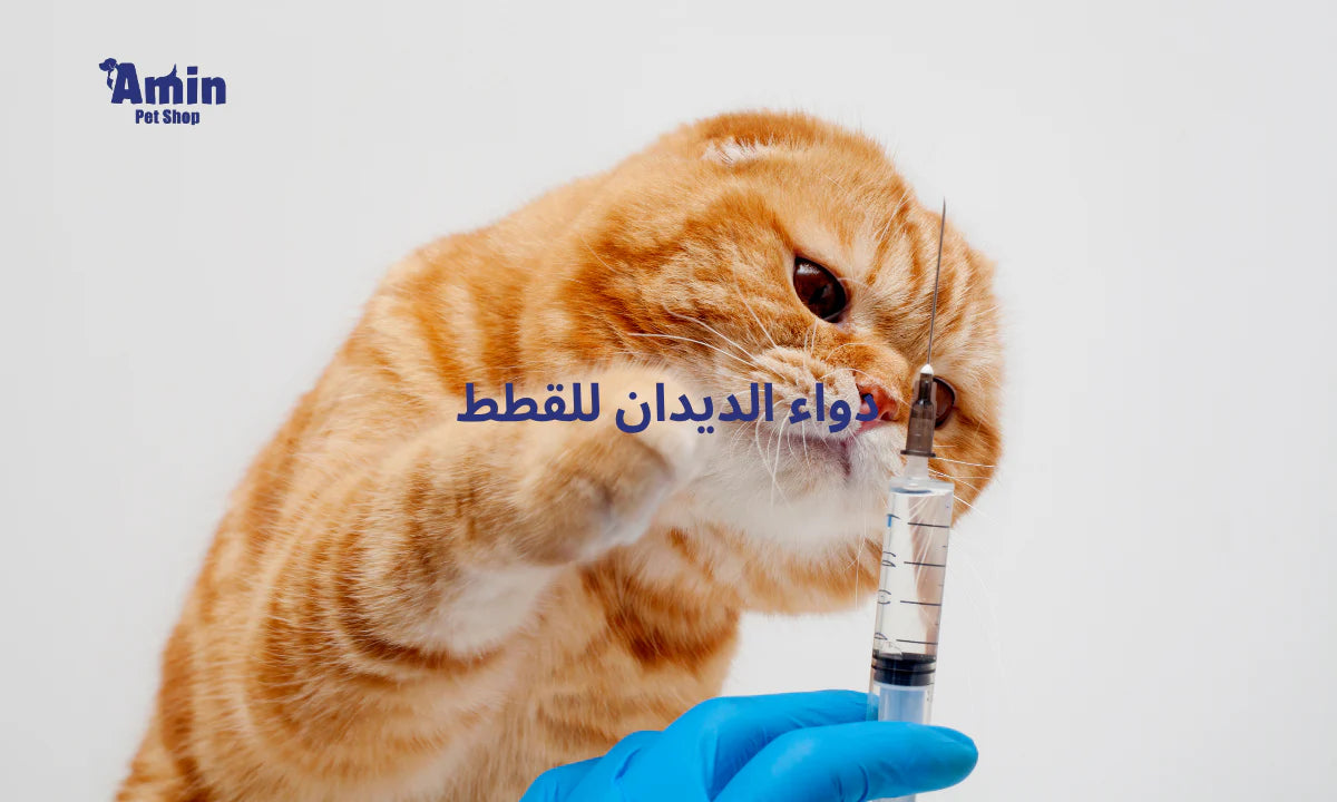 دواء الديدان للقطط: علاج فعال للتخلص من المشكلة