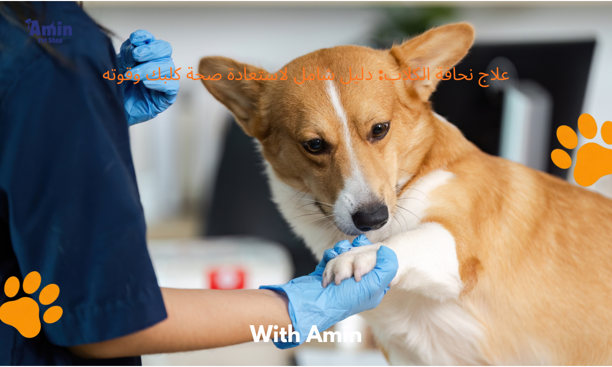 علاج نحافة الكلاب: دليل شامل لاستعادة صحة كلبك وقوته