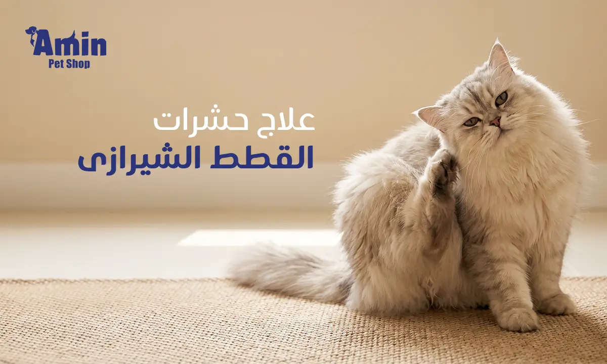 علاج حشرات القطط الشيرازى