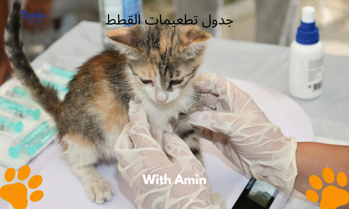 جدول تطعيمات القطط