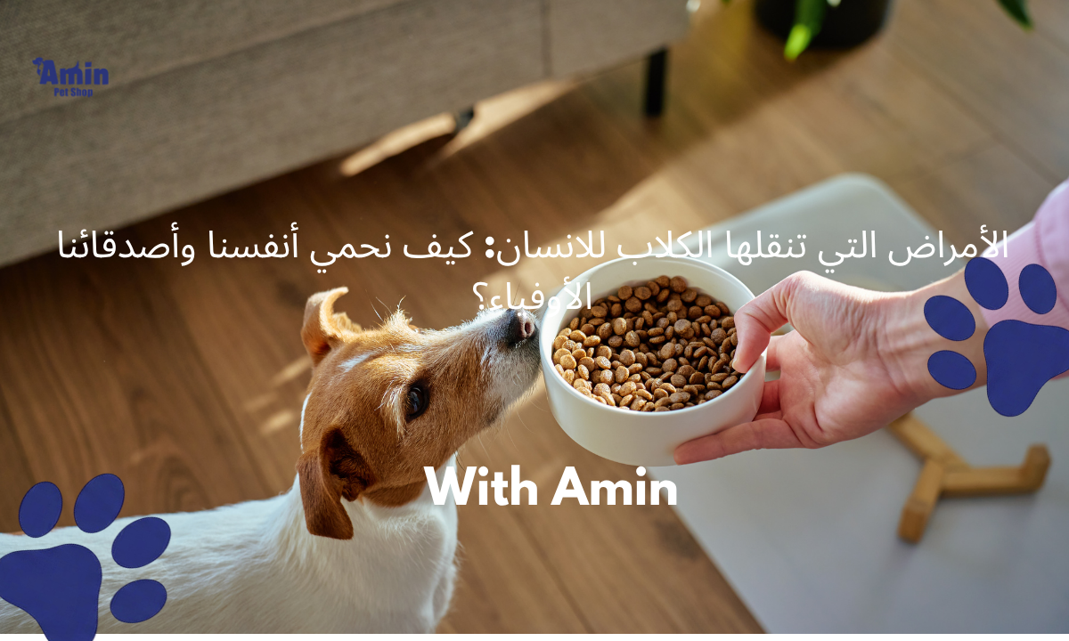 الأمراض التي تنقلها الكلاب للانسان