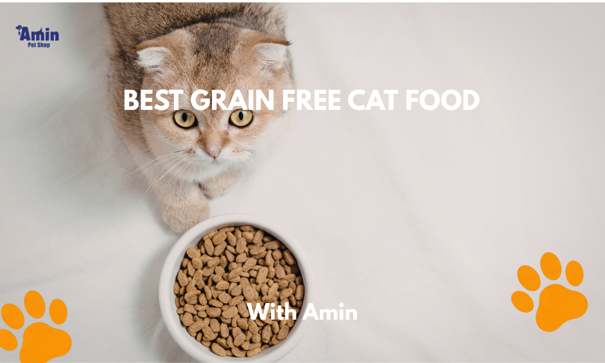 best grain free cat food