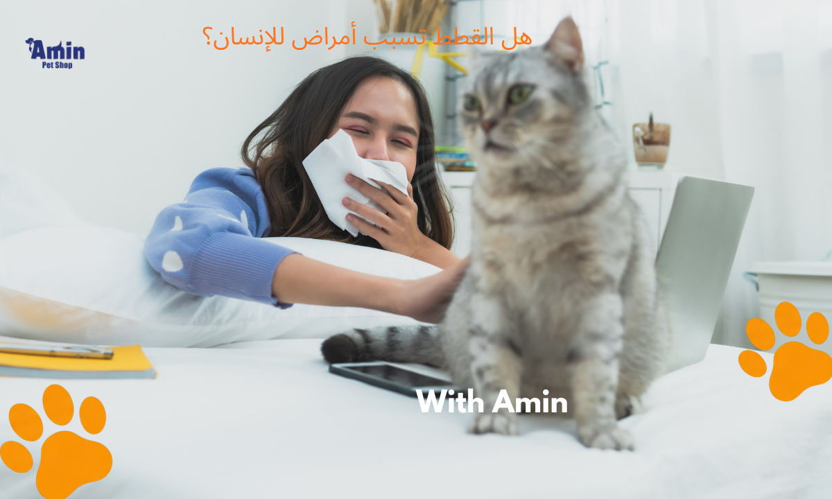 هل القطط تسبب أمراض للإنسان؟