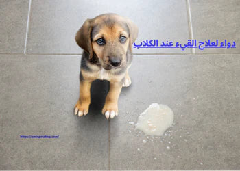 دواء لعلاج القيء عند الكلاب