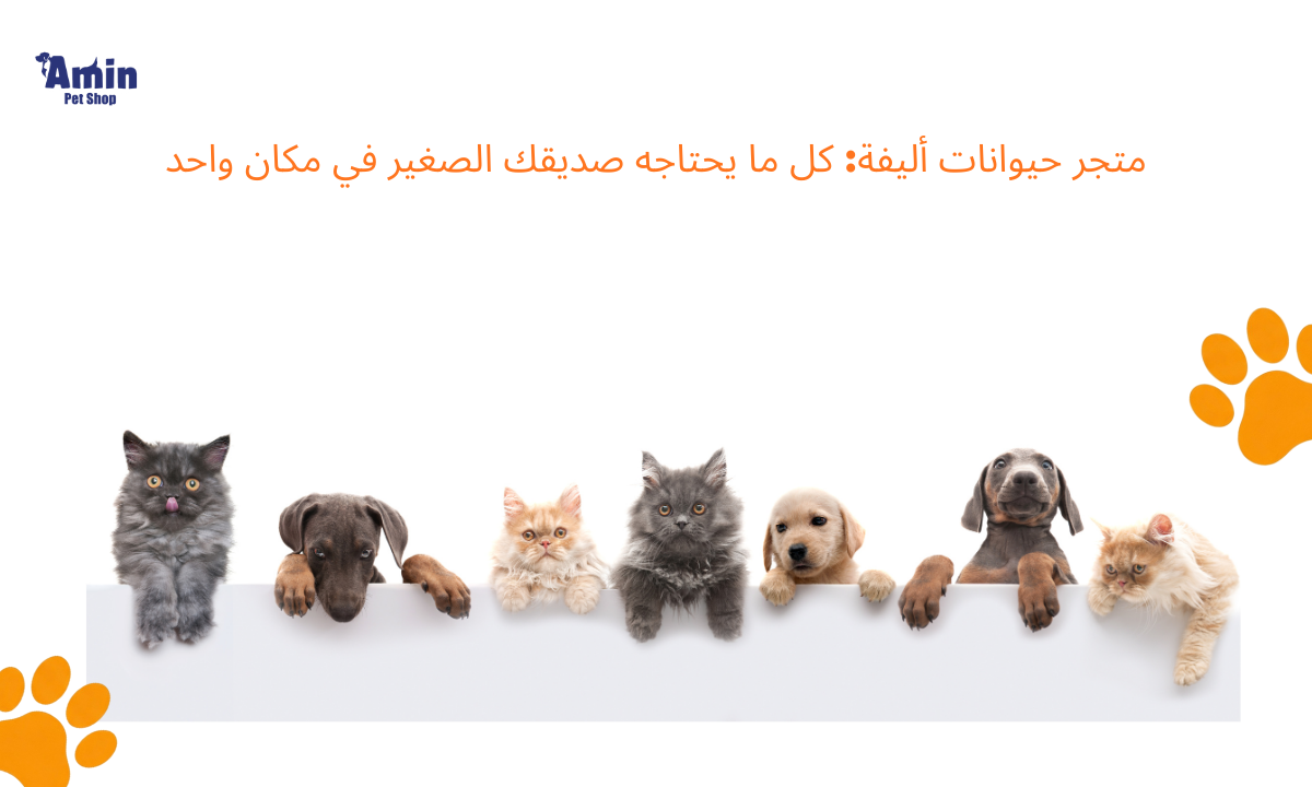 متجر حيوانات أليفة: كل ما يحتاجه صديقك الصغير في مكان واحد