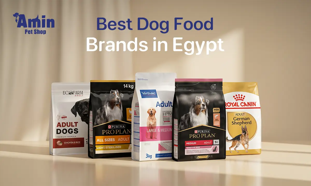 best dog food brands