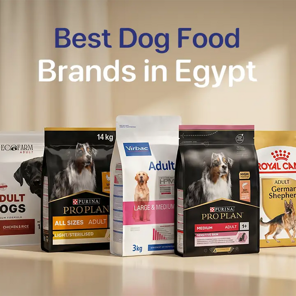 How to Choose the Best Dog Food for Your Pet