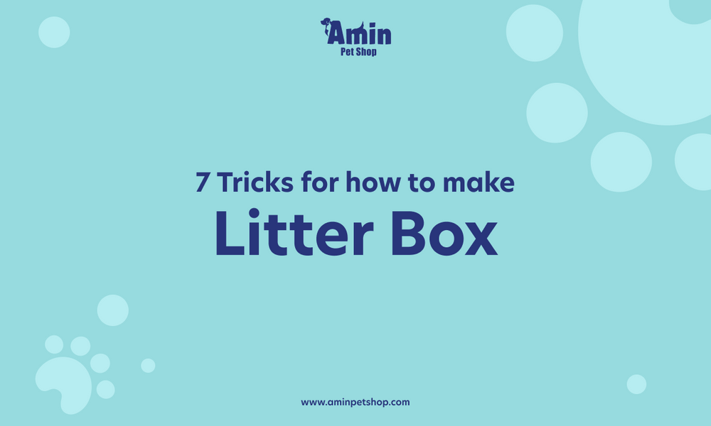 7 Tricks for How To Make Litter Box Non Stick
