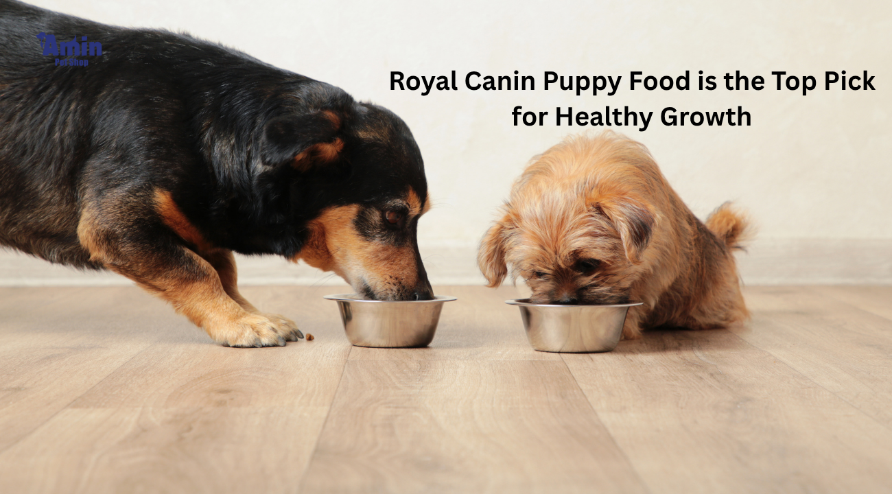 Royal Canin Puppy