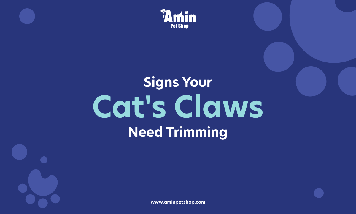 Should I Clip My Cat's Claws