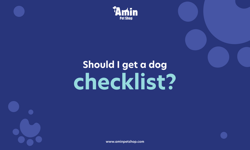 Should I get a dog checklist