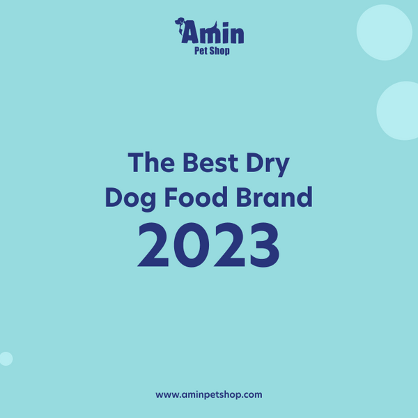 The Best Dry Dog Food Brand 2023