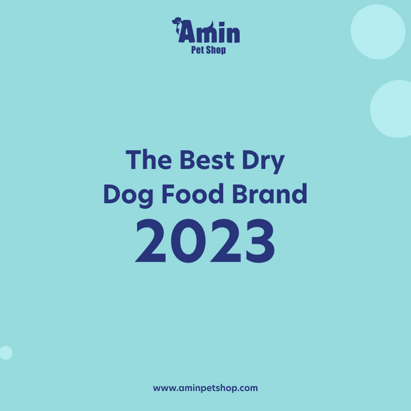 Best Dry Dog Food Brand Top Sellers Centralcountiesservices best-dry-dog-food-brand-top-sellers-centralcountiesservices