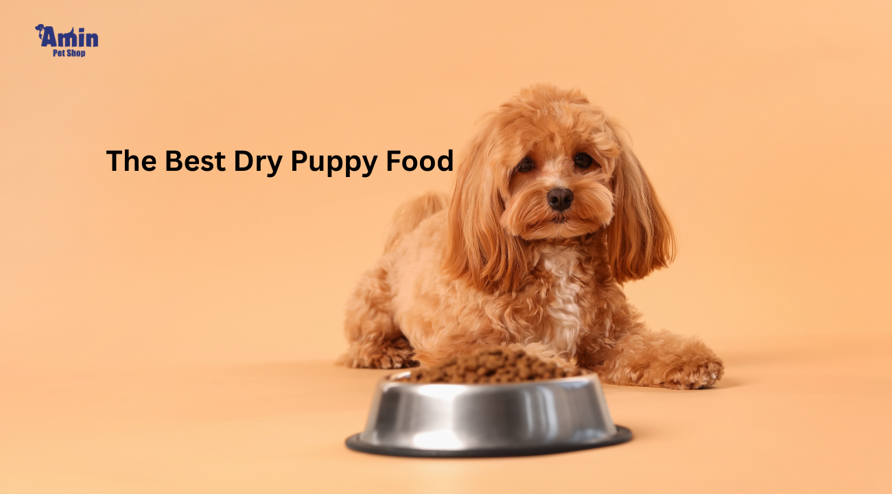 The Best Dry Puppy Food