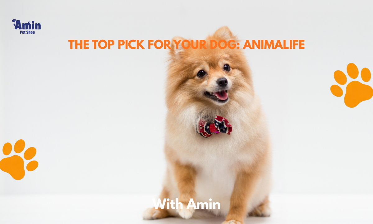 The Top Pick For Your Dog: AnimaLife