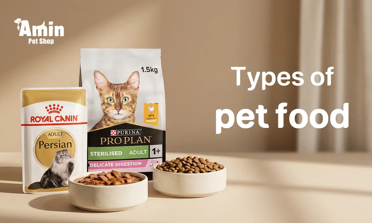 Types of Pet Food