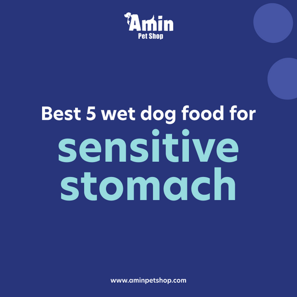 Discover Best 5 Wet Dog Food for Sensitive Stomach 2024