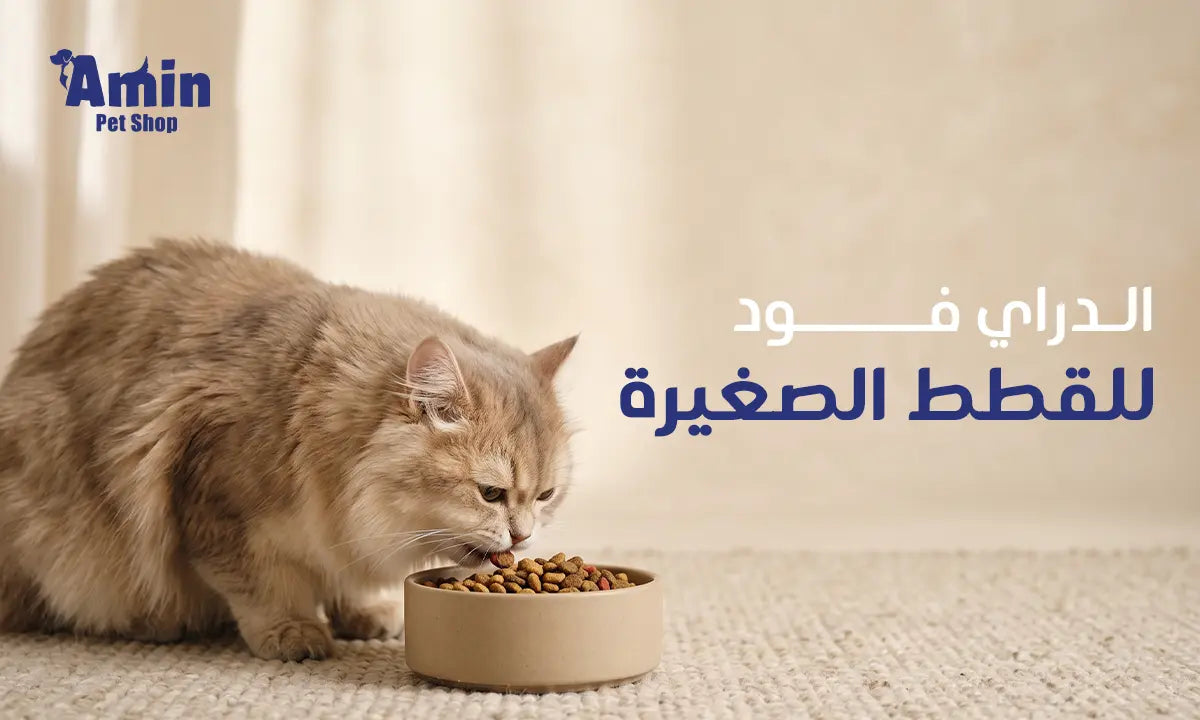  الدراي فود للقطط الصغيرة 