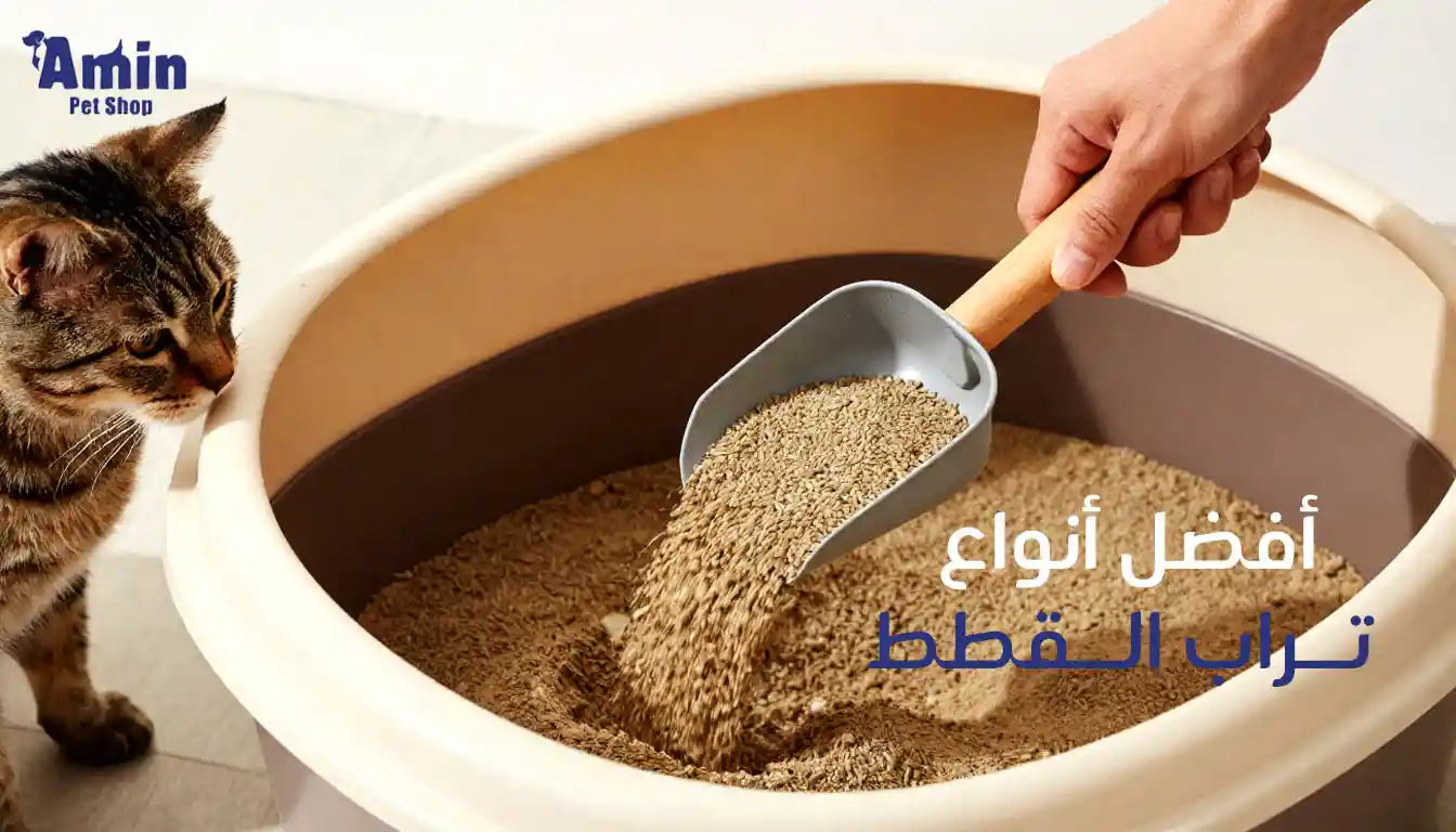 افضل انواع تراب القطط: دليلك الشامل للاختيار الصحيح