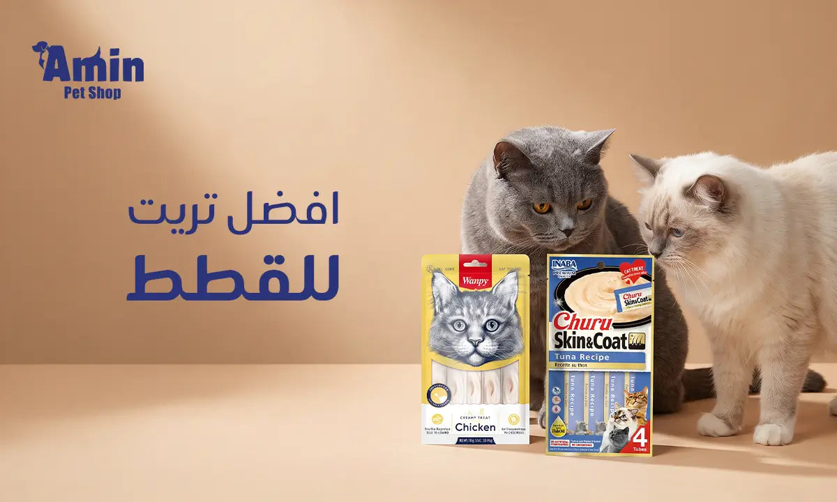 افضل تريت للقطط