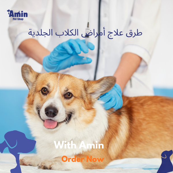 اخطر امراض الكلاب: سبب موت الكلاب الصغيرة وأهم طرق الوقاية منها