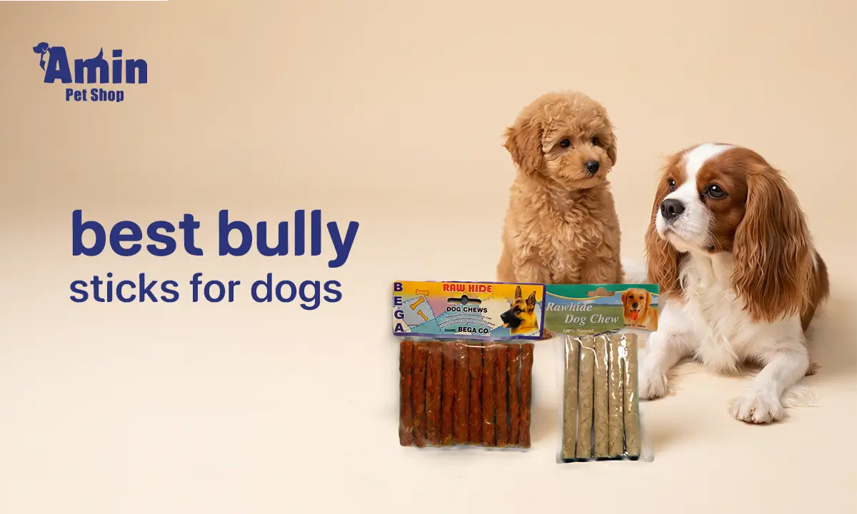 best bully sticks for dogs