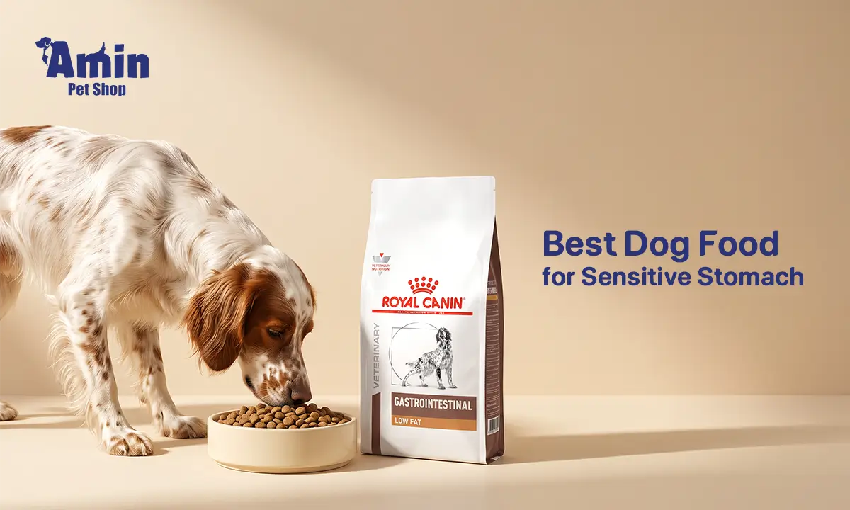best dog food for sensitive stomach