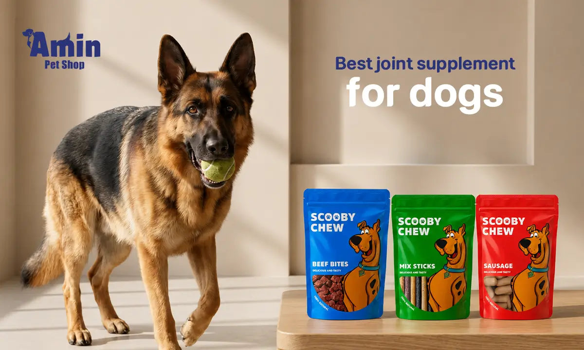 best joint supplement for dogs