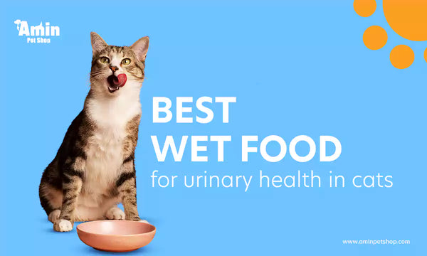 best wet food for urinary health in cats
