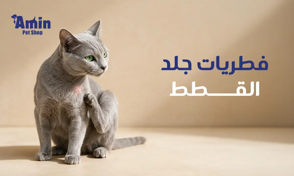 فطريات جلد القطط