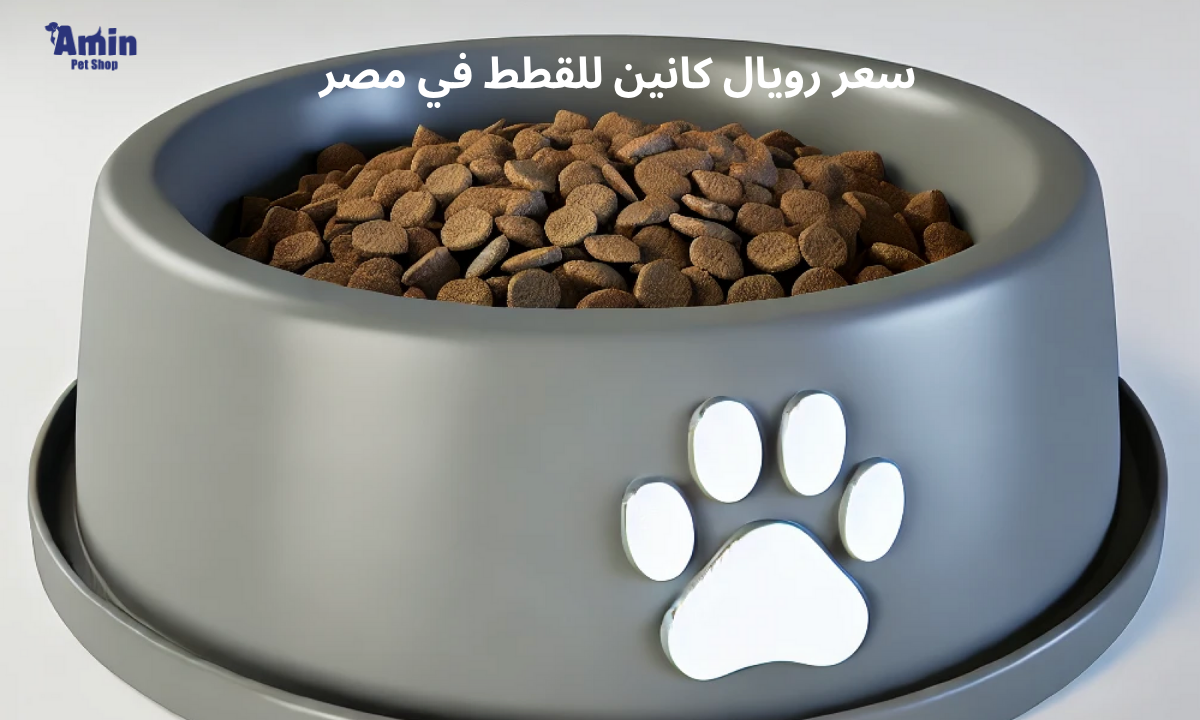 سعر رويال كانين للقطط في مصر