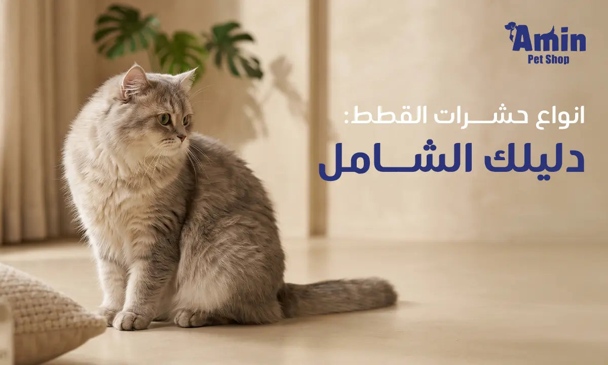 انواع حشرات القطط