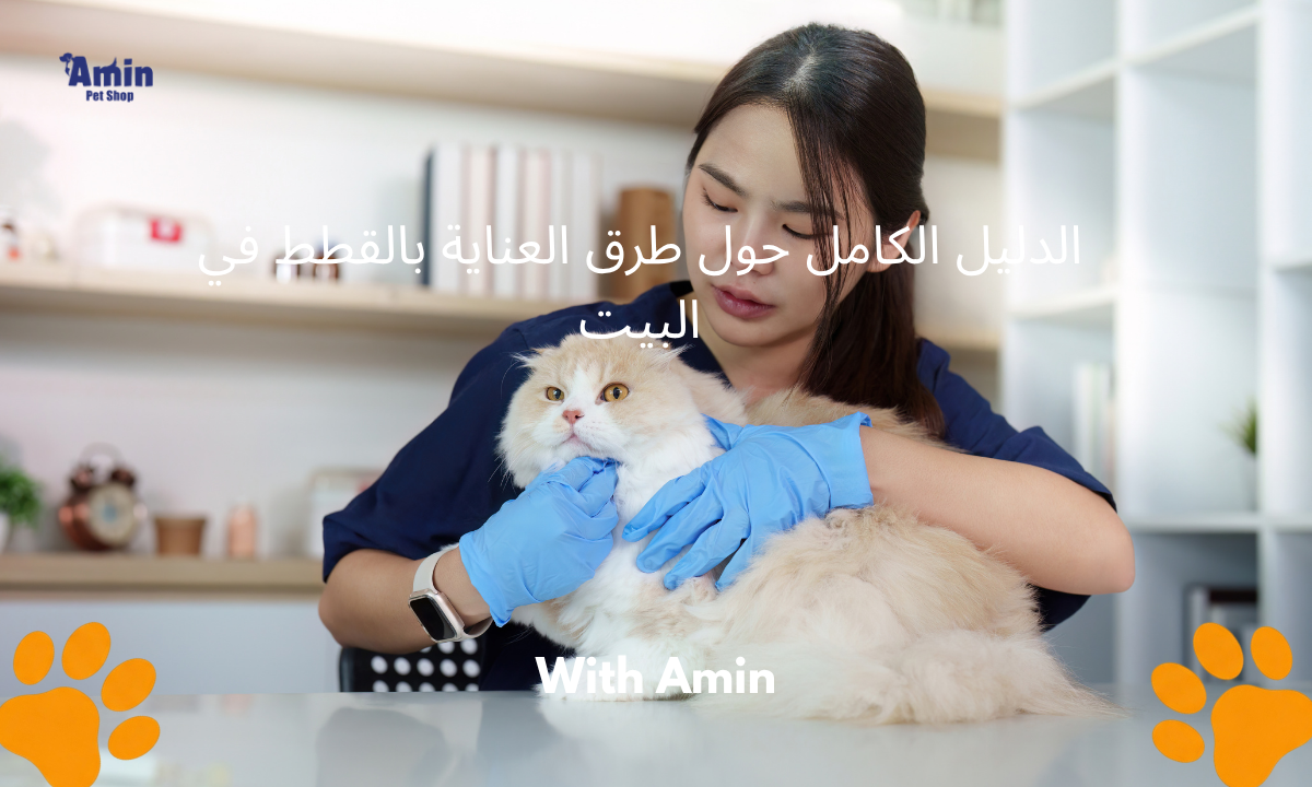 طرق العناية بالقطط