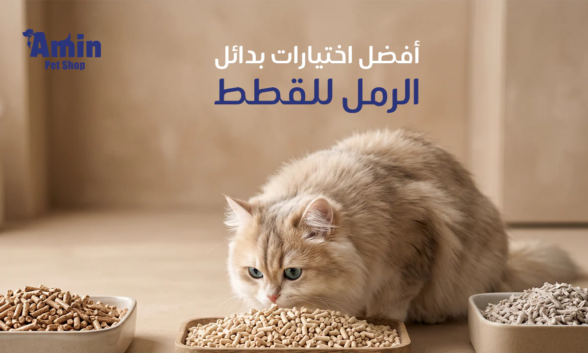 بدائل الرمل للقطط