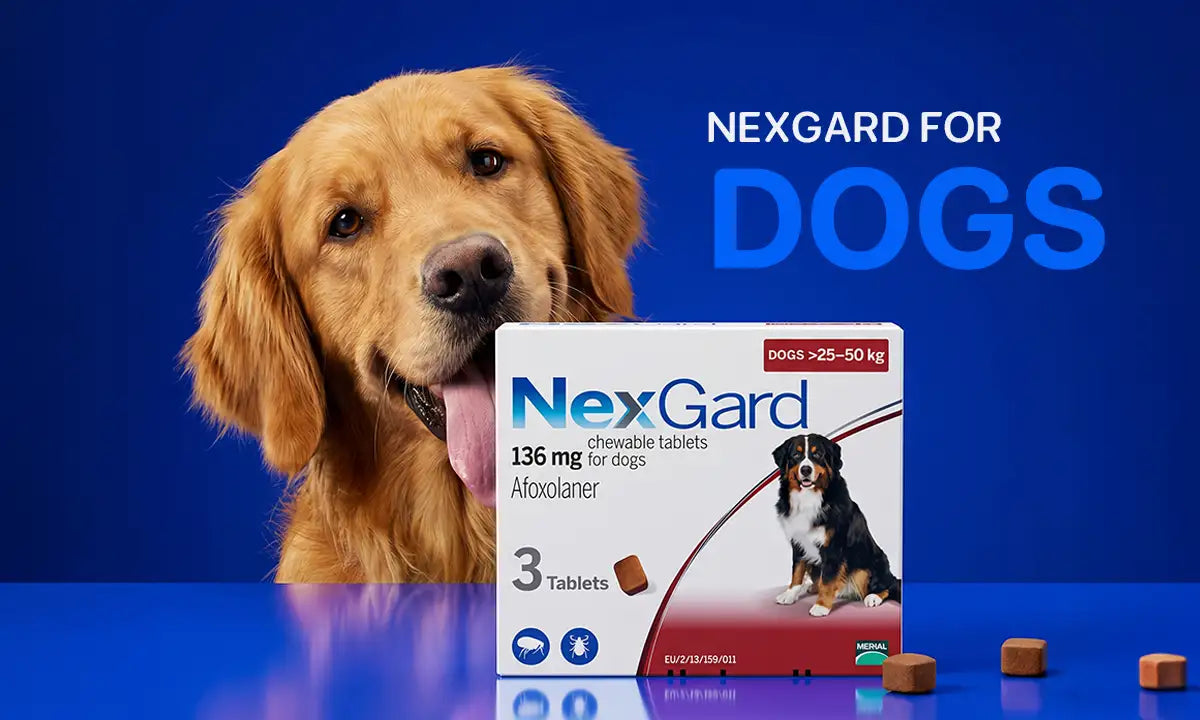 NexGard for Dogs