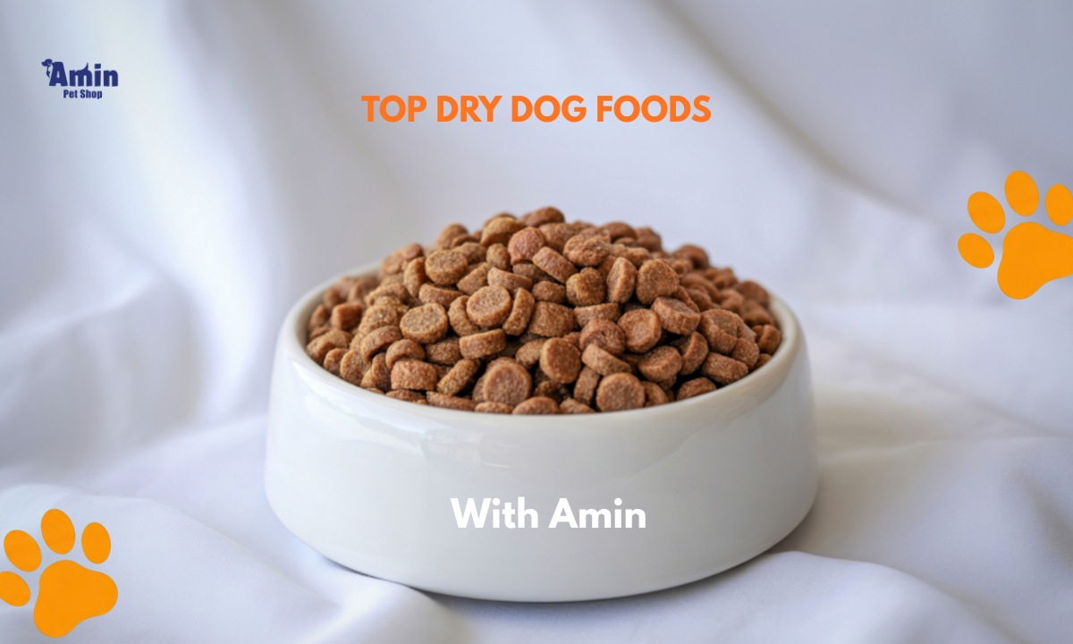 top dry dog foods